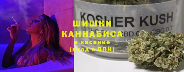 шишки Аркадак