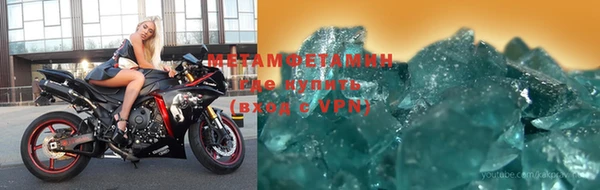 шишки Аркадак