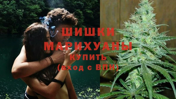 PSILOCYBIN Арсеньев