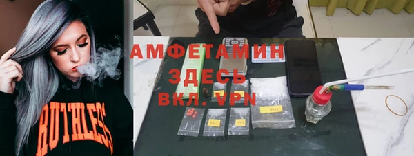 шишки Аркадак