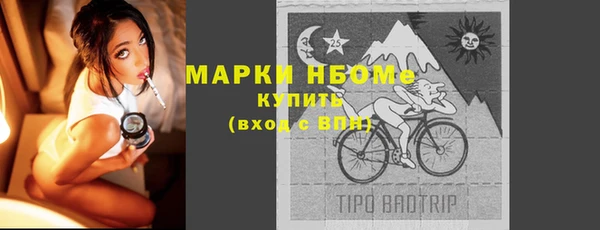 шишки Аркадак