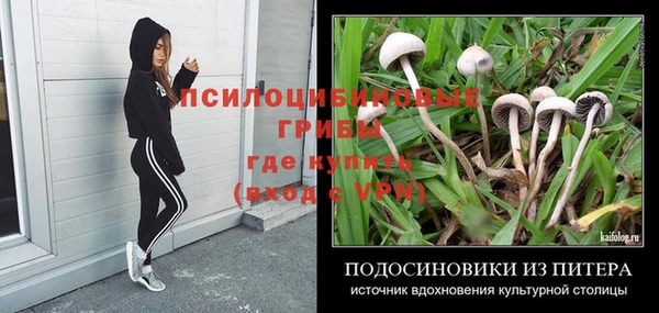 PSILOCYBIN Арсеньев