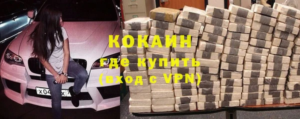 шишки Аркадак