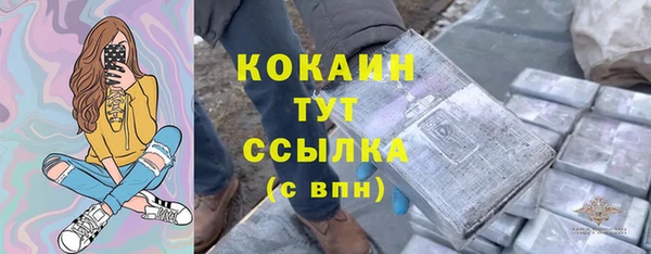 шишки Аркадак