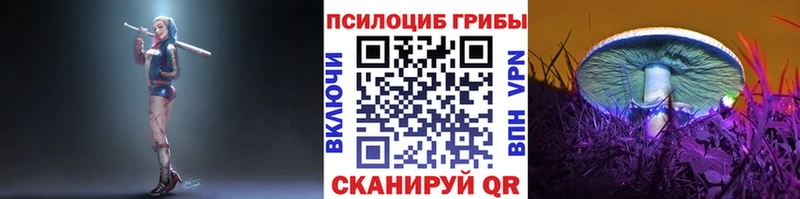 Галлюциногенные грибы Psilocybine cubensis Грайворон